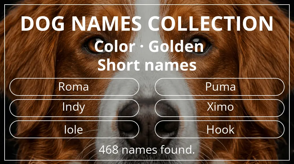Names for dogs inspired by golden color and short (2–4) name length