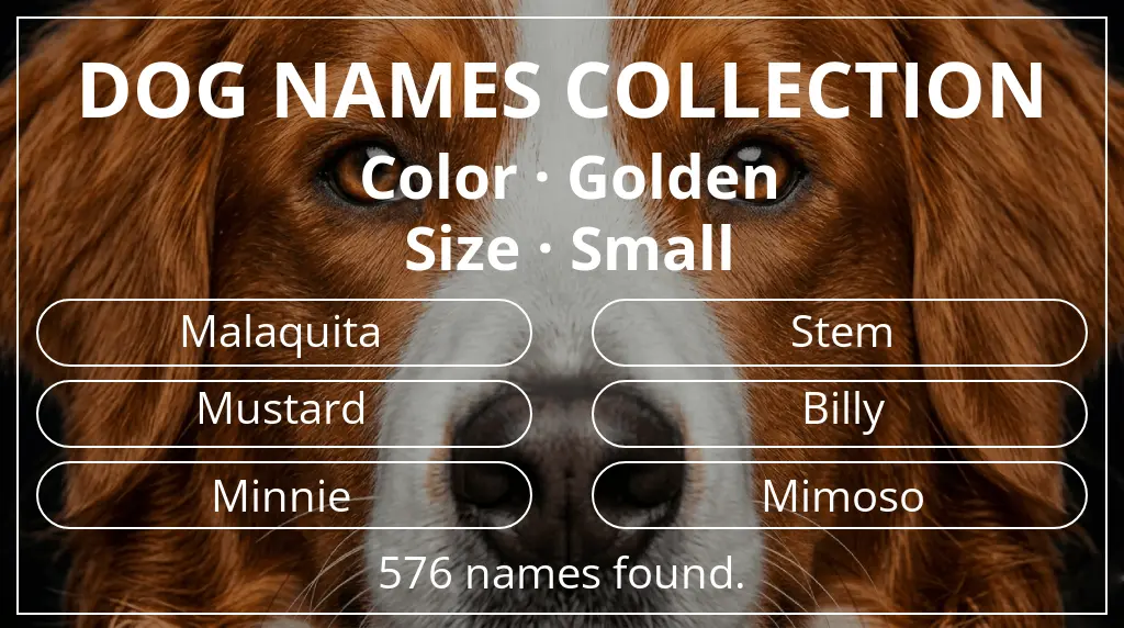 Dog names inspired by golden color and small size
