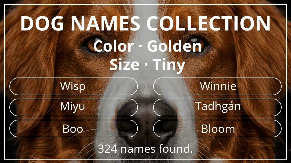 Dog names inspired by golden color and tiny size