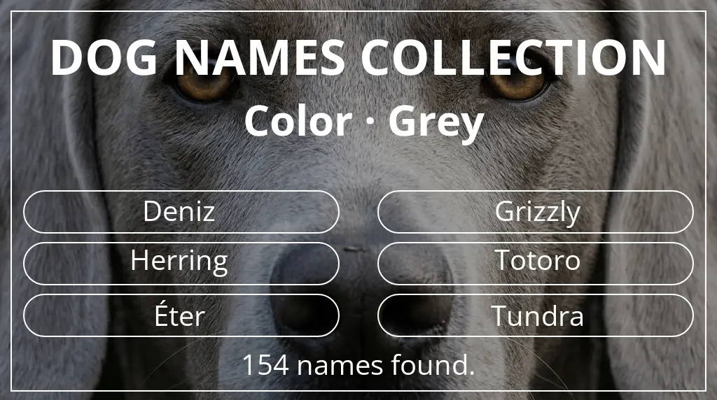 Names for dogs inspired by grey color