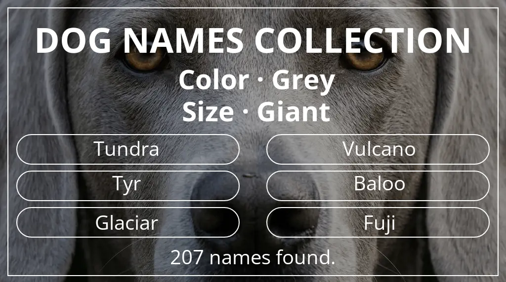 Names for dogs inspired by grey color and giant size