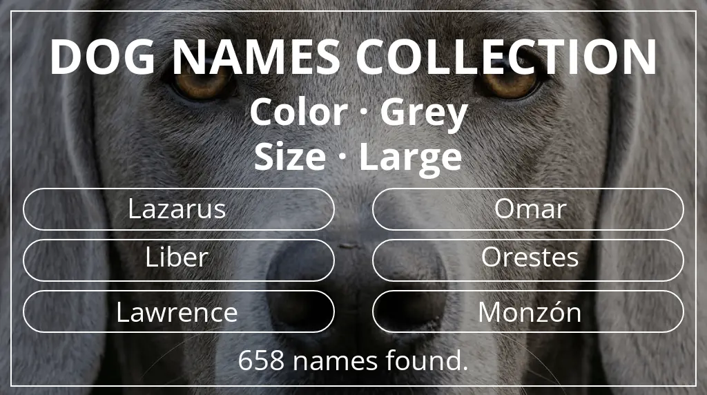 Names for dogs inspired by grey color and large size