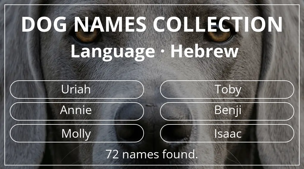 Names for dogs based on hebrew language