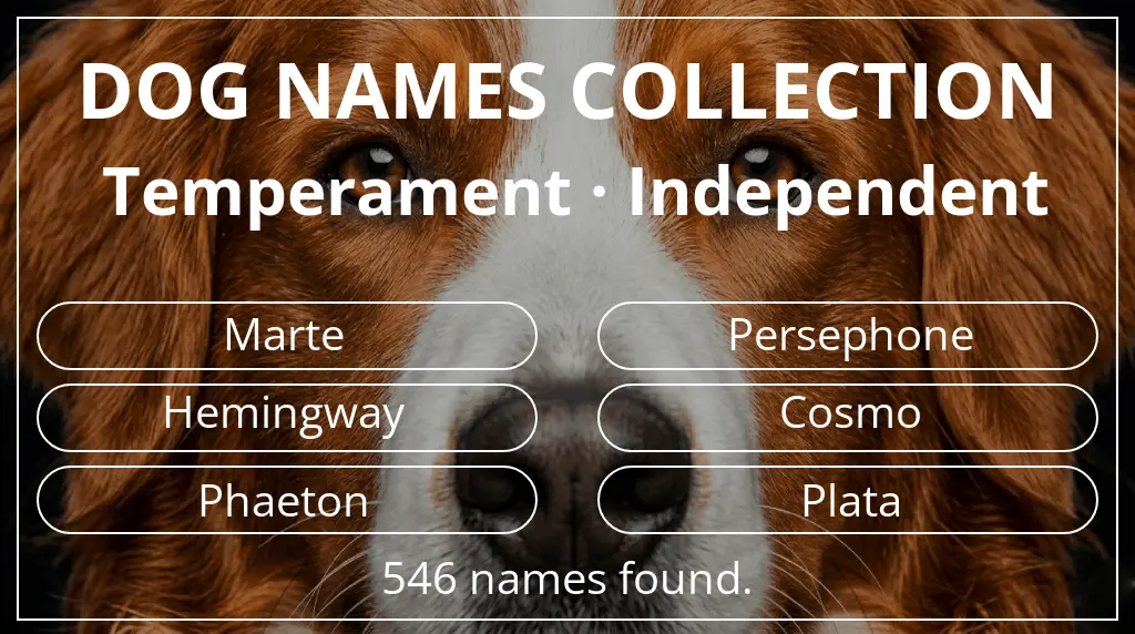 Dog names based on independent temperament