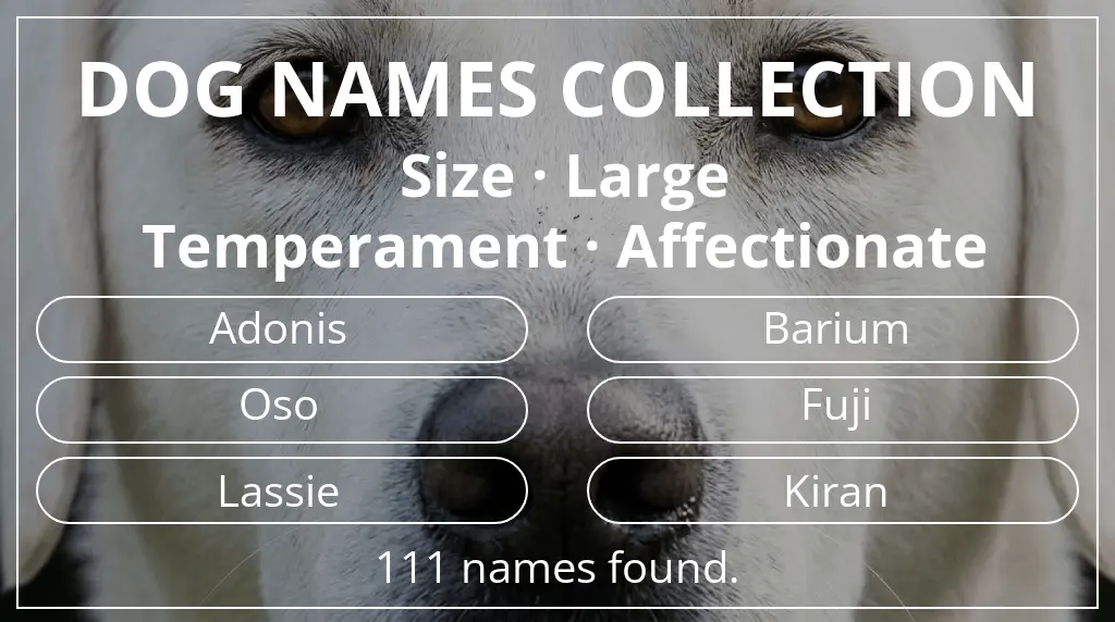Dog names based on large size and affectionate temperament