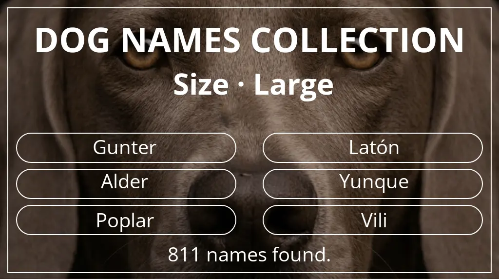 Dog names based on large size