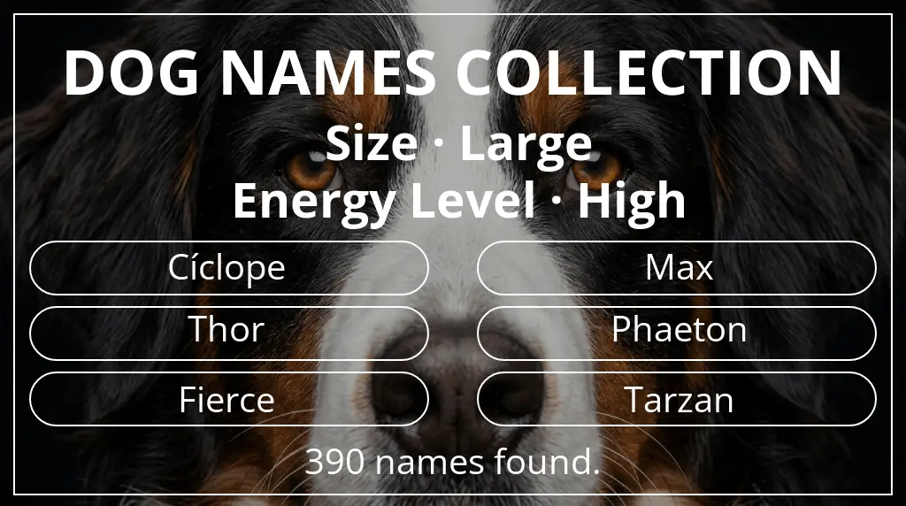 Dog names based on large size and high energy level