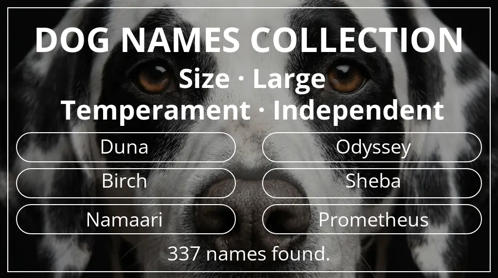 Names for dogs inspired by large size and independent temperament