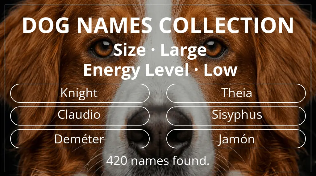 Names for dogs inspired by large size and low energy level