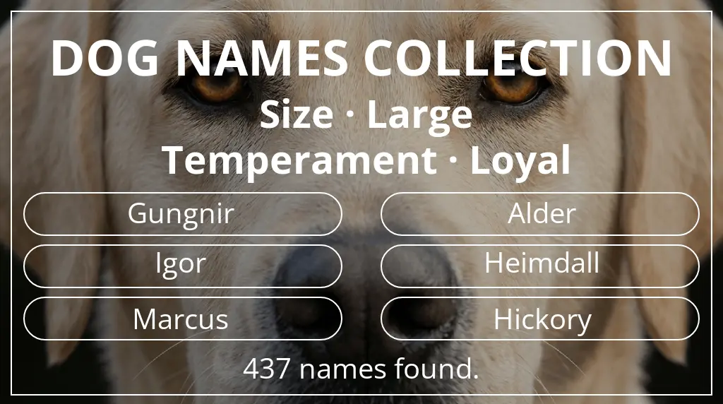 Names for dogs based on large size and loyal temperament