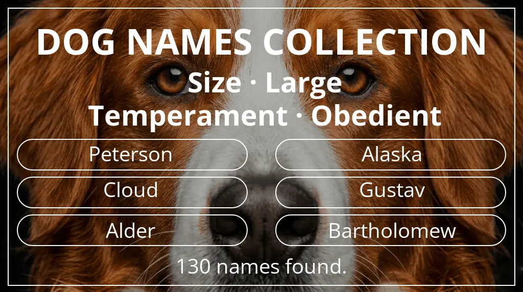 Dog names based on large size and obedient temperament