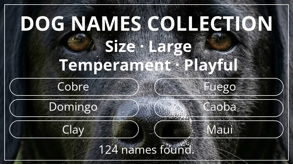 Dog names based on large size and playful temperament