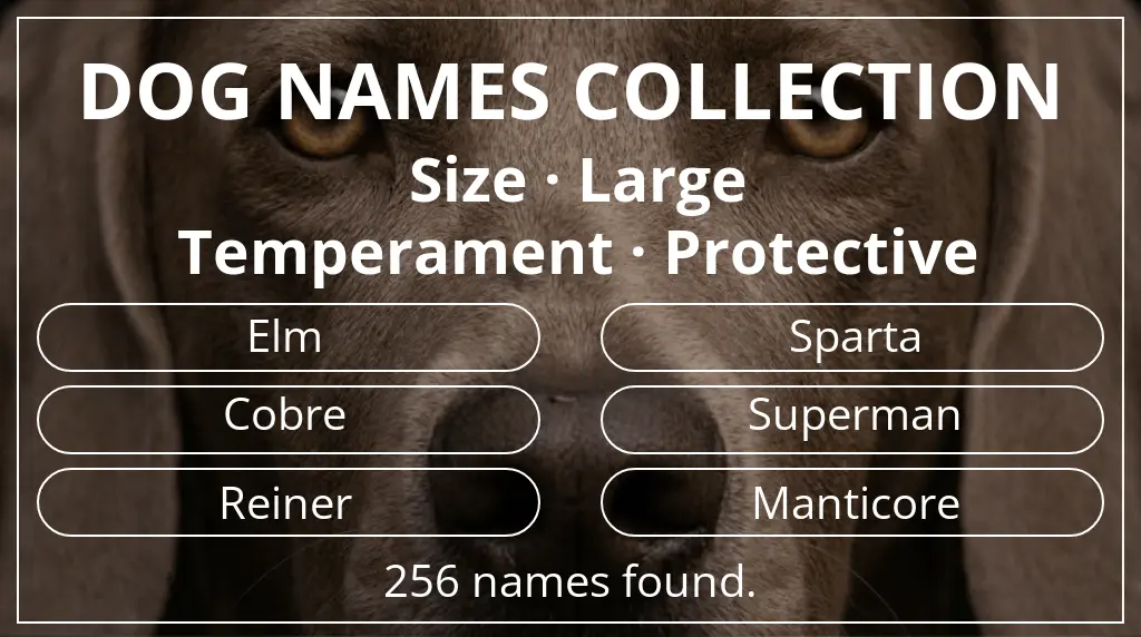 Names for dogs based on large size and protective temperament