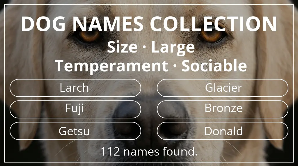 Names for dogs based on large size and sociable temperament