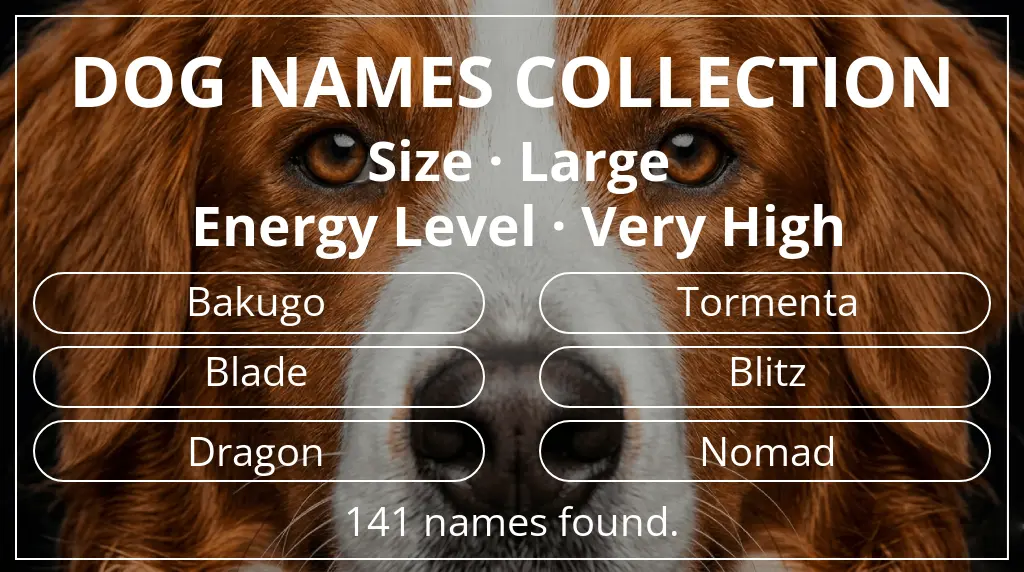 Dog names inspired by large size and very high energy level