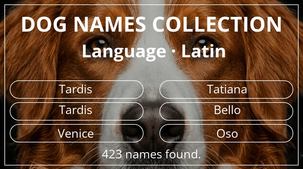 Dog names based on latin language