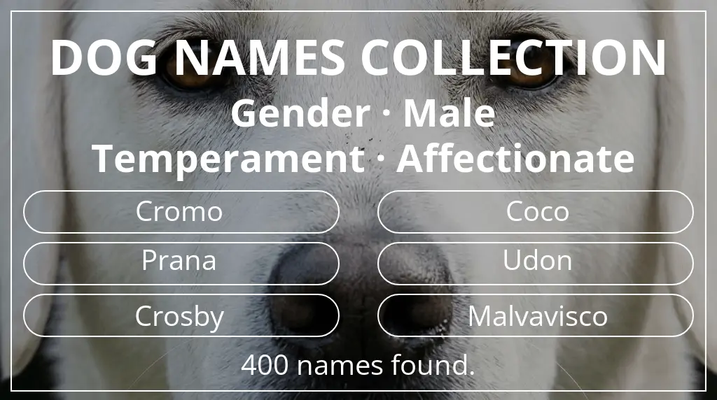 Dog names based on male gender and affectionate temperament