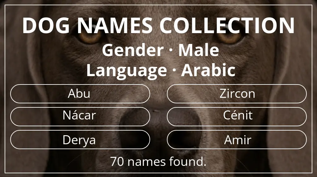 Dog names based on male gender and arabic language
