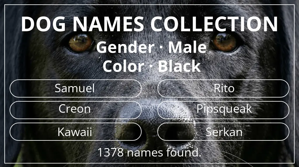 Dog names based on male gender and black color
