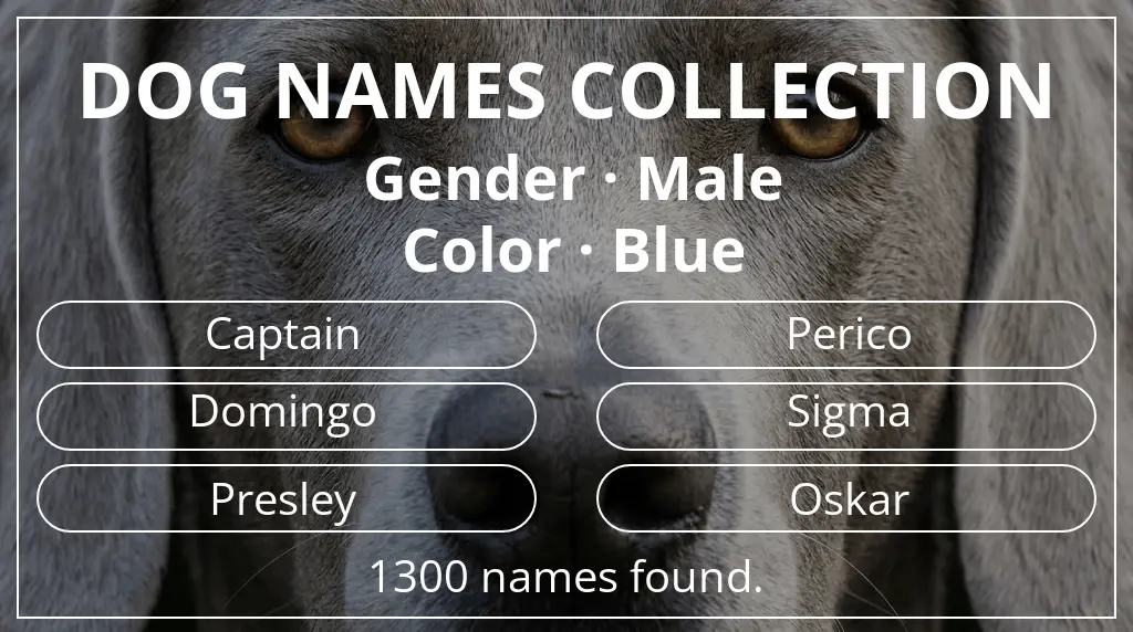 Names for dogs based on male gender and blue color