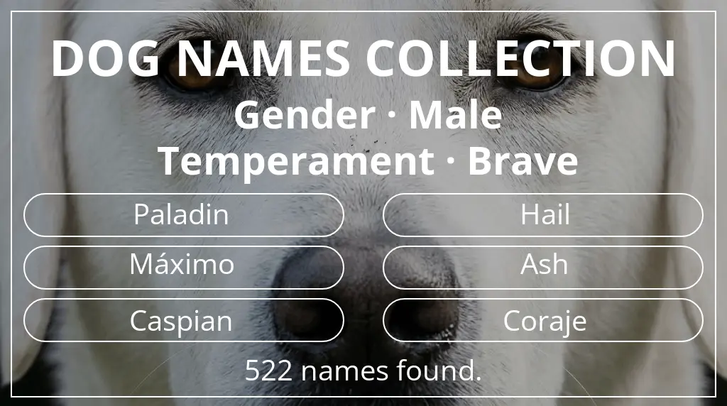 Names for dogs inspired by male gender and brave temperament