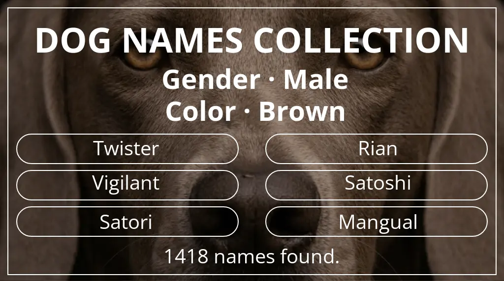Dog names inspired by male gender and brown color