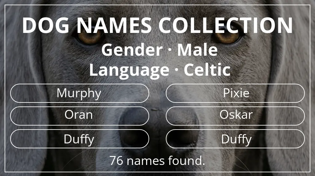 Dog names based on male gender and celtic language