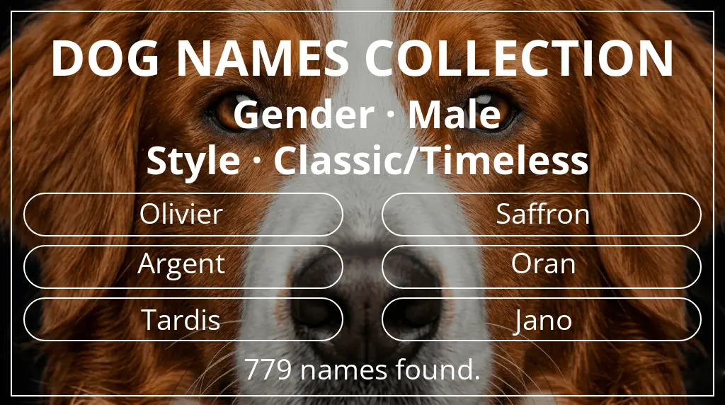 Dog names based on male gender and classic/timeless style