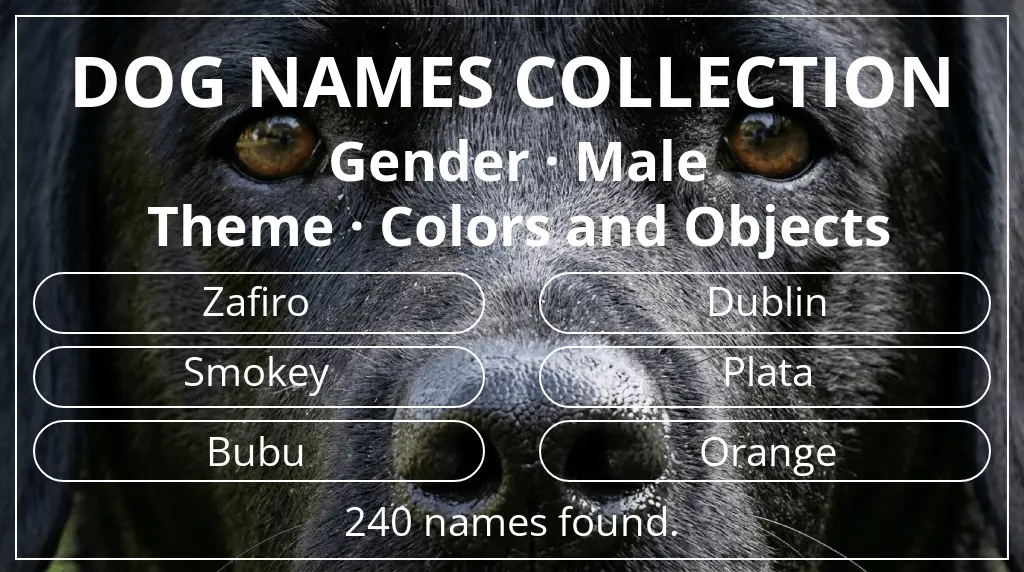 Names for dogs based on male gender and colors and objects theme