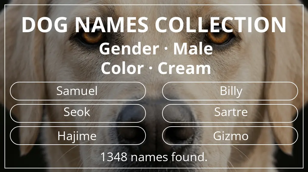 Dog names inspired by male gender and cream color