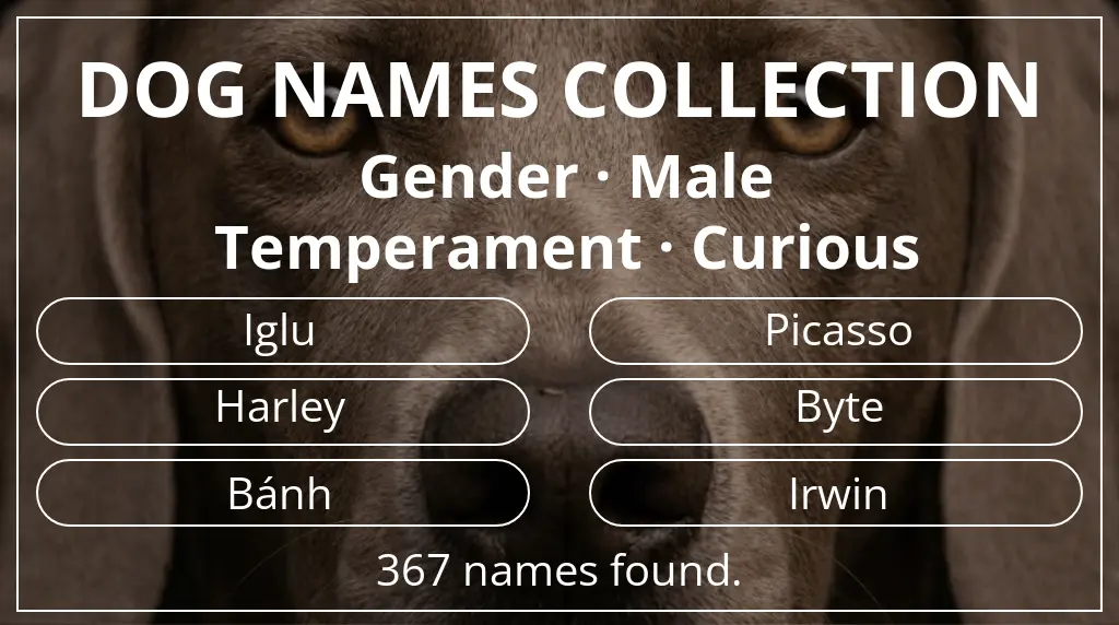 Names for dogs inspired by male gender and curious temperament