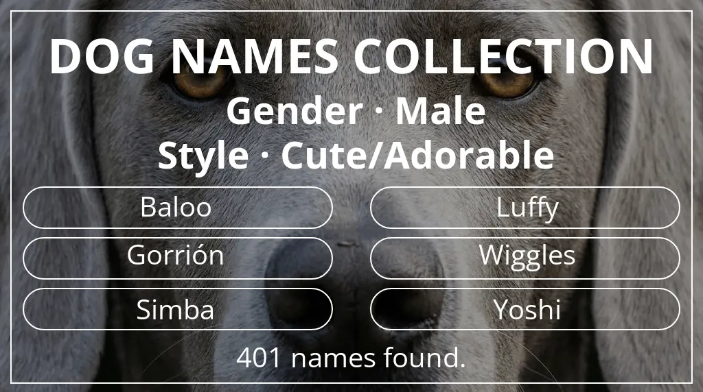 Names for dogs inspired by male gender and cute/adorable style