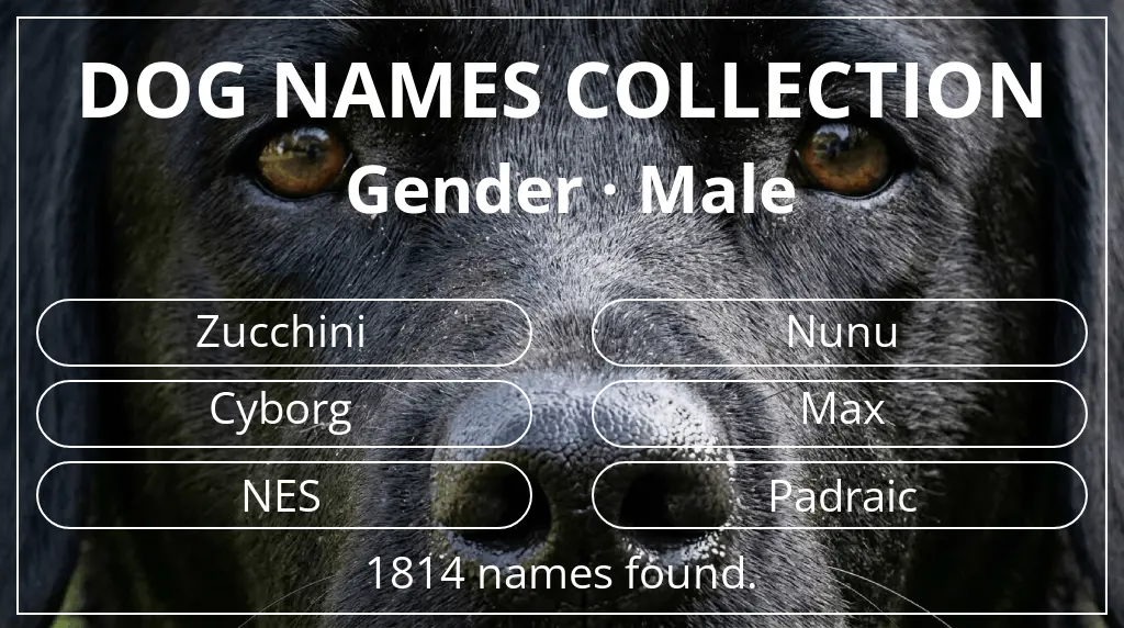 Dog names based on male gender