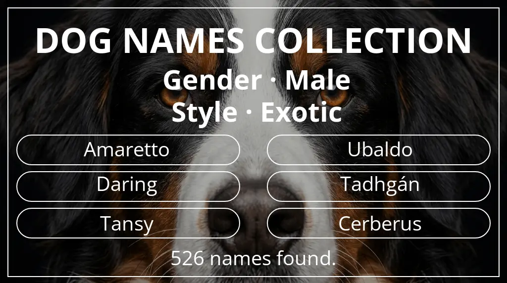 Names for dogs inspired by male gender and exotic style