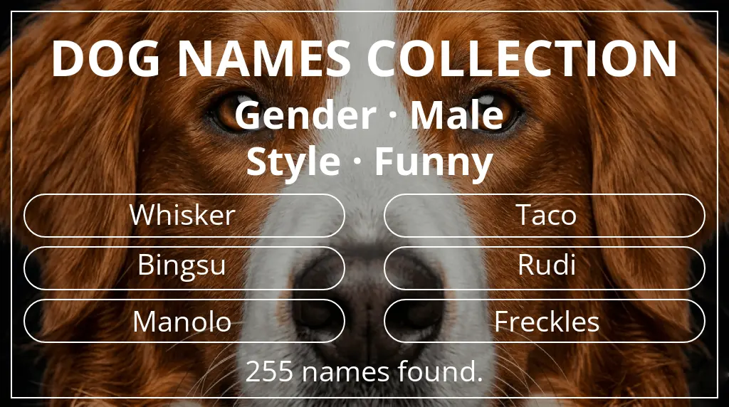 Dog names inspired by male gender and funny style