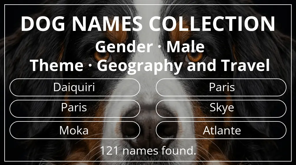 Names for dogs inspired by male gender and geography and travel theme