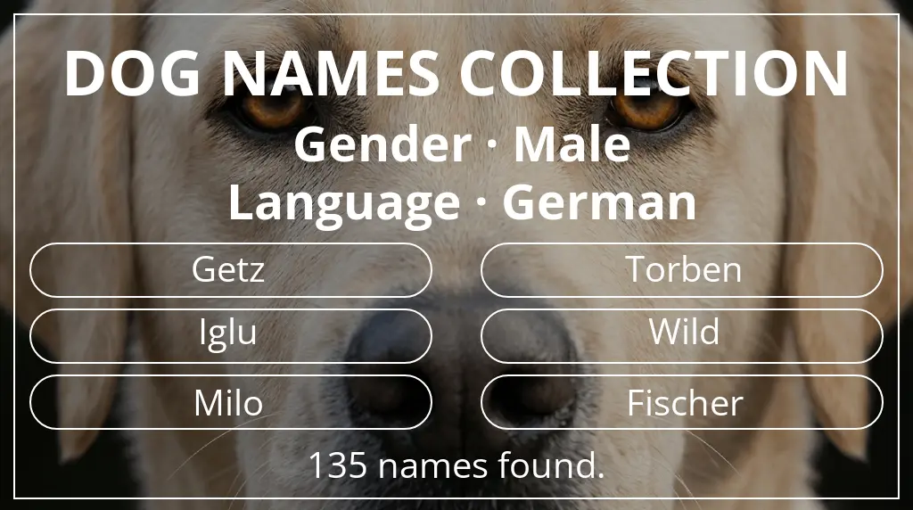 Names for dogs based on male gender and german language