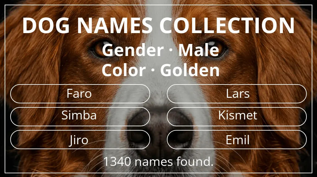 Dog names based on male gender and golden color