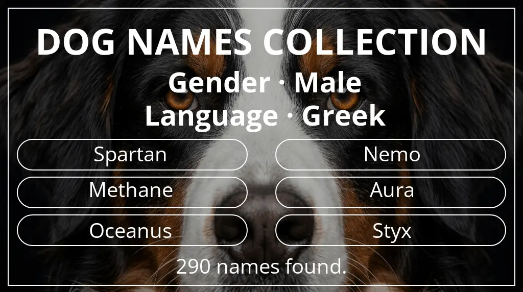 Dog names inspired by male gender and greek language