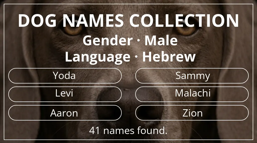 Names for dogs inspired by male gender and hebrew language