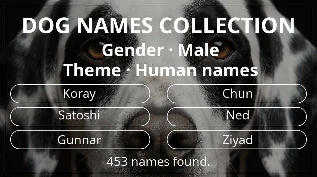 Dog names inspired by male gender and human names theme