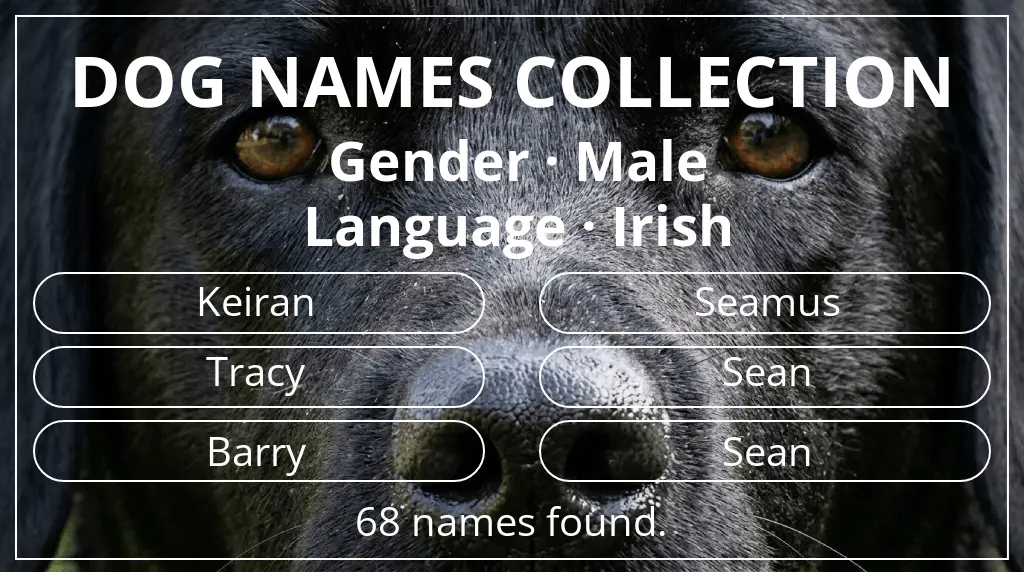 Names for dogs based on male gender and irish language