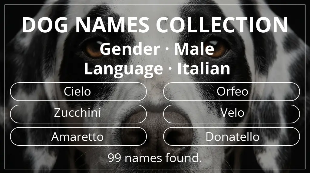 Names for dogs inspired by male gender and italian language