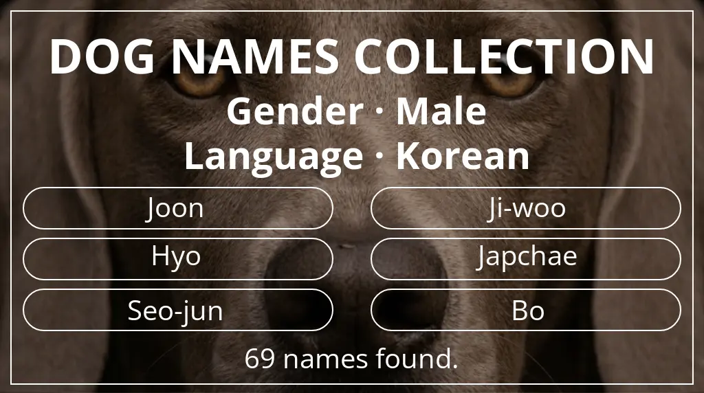 Dog names inspired by male gender and korean language
