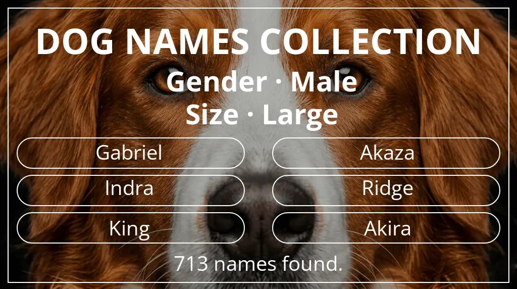 Dog names inspired by male gender and large size