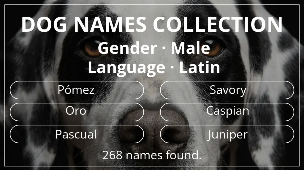 Names for dogs based on male gender and latin language