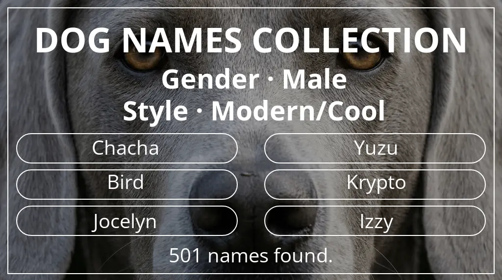 Names for dogs inspired by male gender and modern/cool style