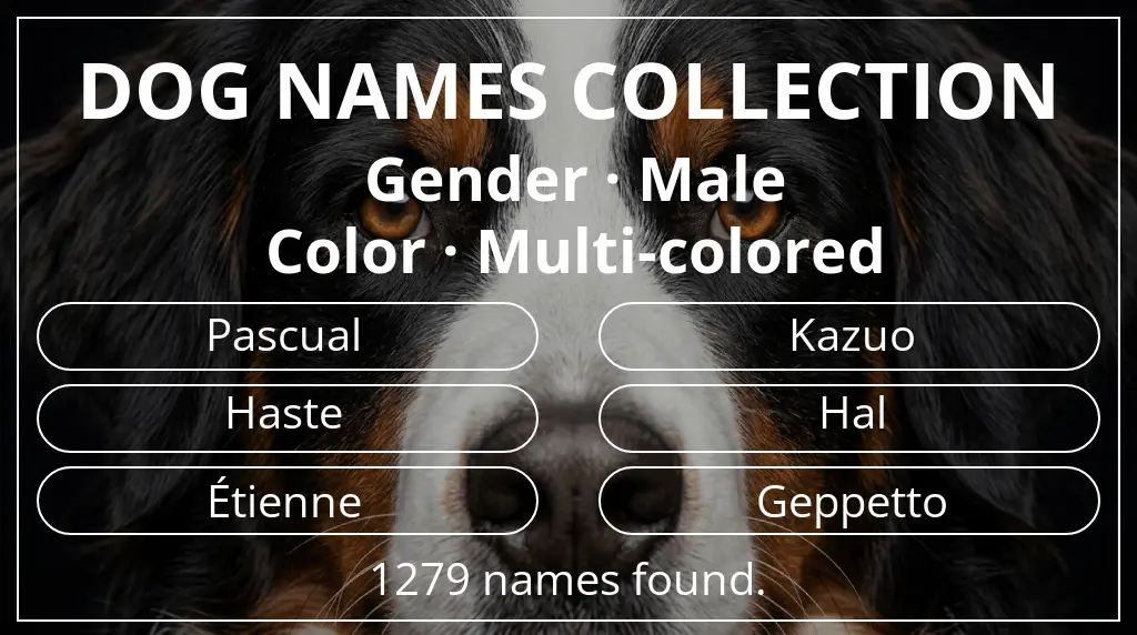 Dog names based on male gender and multi-colored color