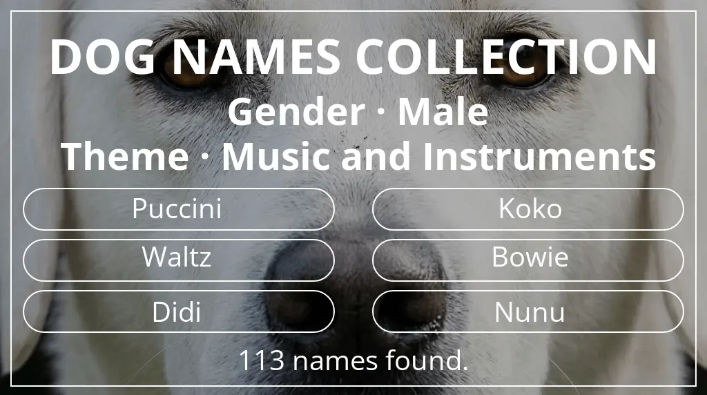 Names for dogs based on male gender and music and instruments theme