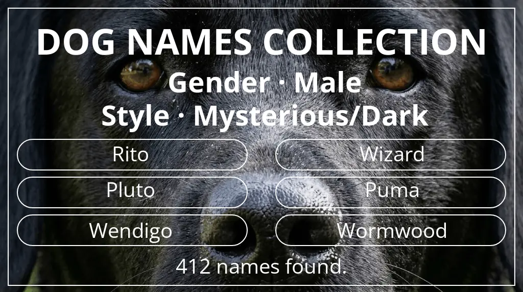 Names for dogs inspired by male gender and mysterious/dark style